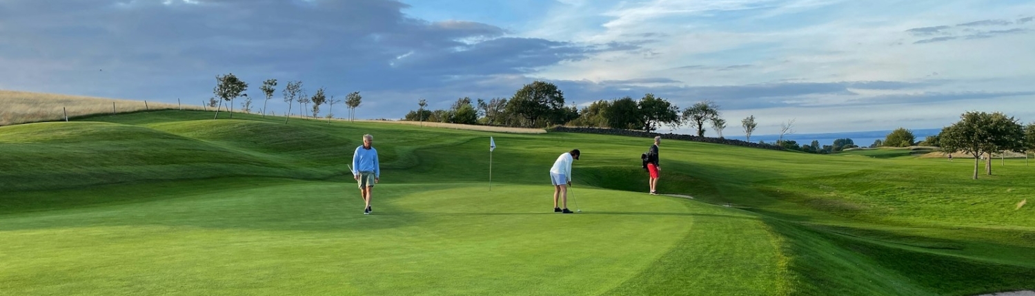 people playing golf on green grass field during daytime