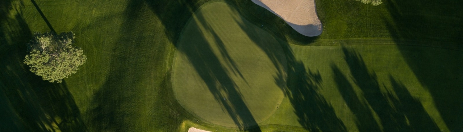 bird's eye photo of grass field